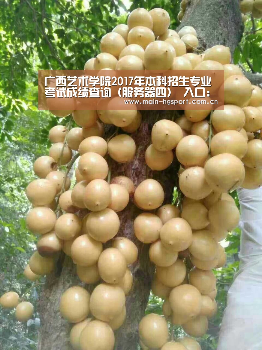 皇冠体育下载
