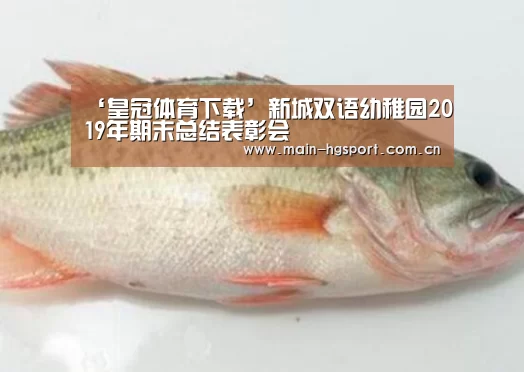 ‘皇冠体育下载’新城双语幼稚园2019年期末总结表彰会(图1) 皇冠体育官网