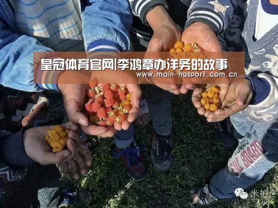皇冠体育官网|李鸿章办洋务的故事(图3) 皇冠体育app