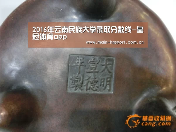 2016年云南民族大学录取分数线-皇冠体育app(图1) 皇冠体育app