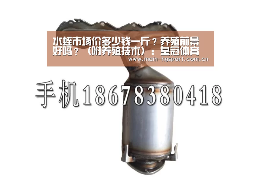 水蛭市场价多少钱一斤?养殖前景好吗?(附养殖技术):皇冠体育下载(图3) 皇冠体育app