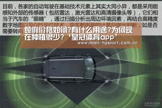 蓖麻价格如何?有什么用途?为何现在种植很少?‘皇冠体育app’(图1) 皇冠体育下载