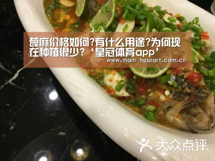 蓖麻价格如何?有什么用途?为何现在种植很少?‘皇冠体育app’(图2) 皇冠体育app