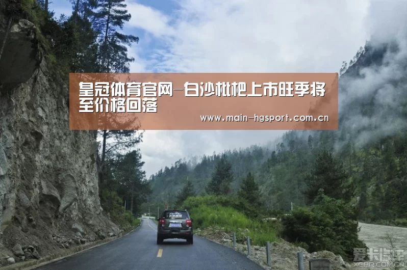 皇冠体育官网-白沙枇杷上市旺季将至价格回落(图1) 皇冠体育下载