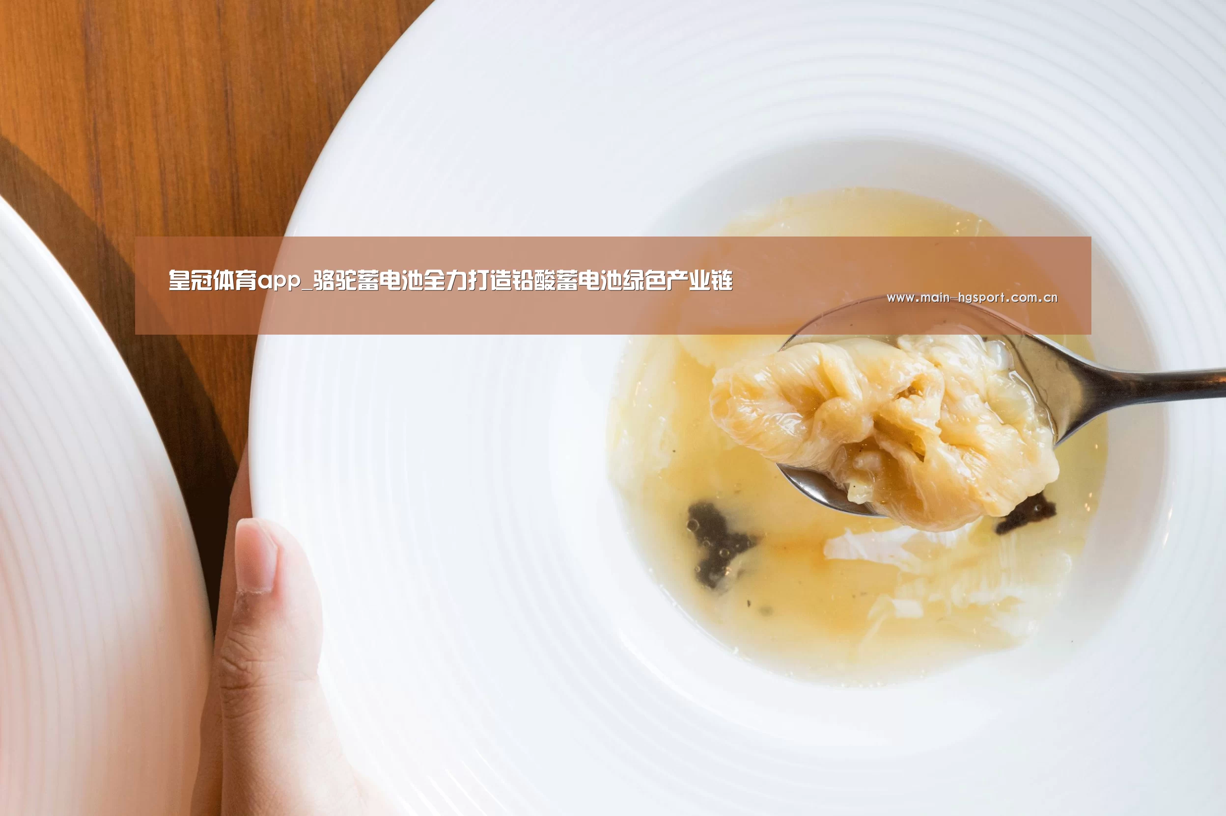 皇冠体育官网